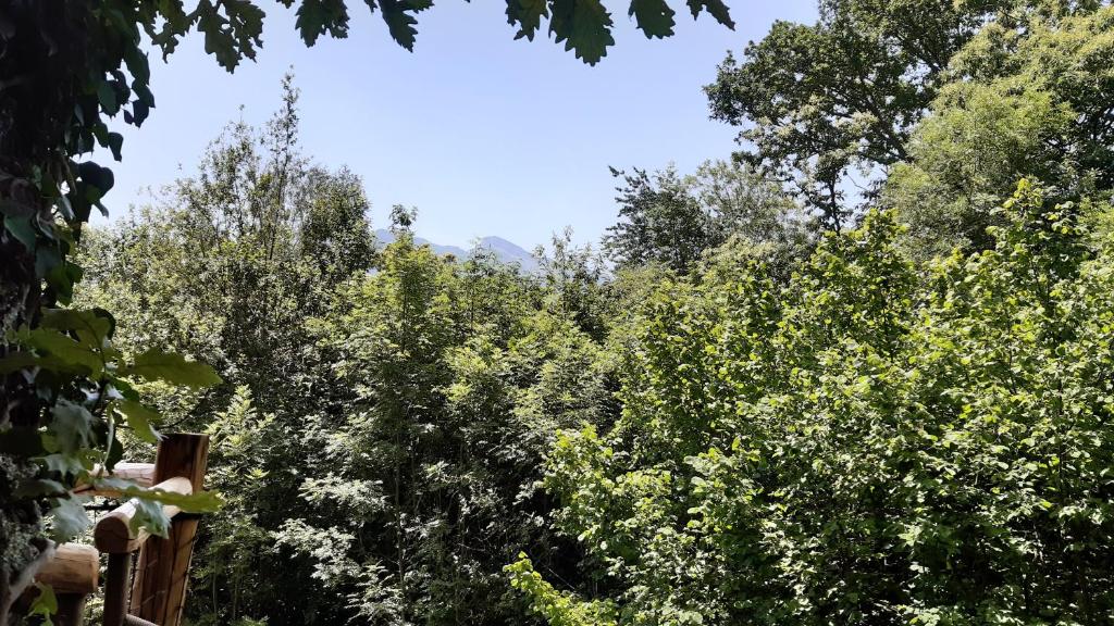 Caban'Aspe photo 2