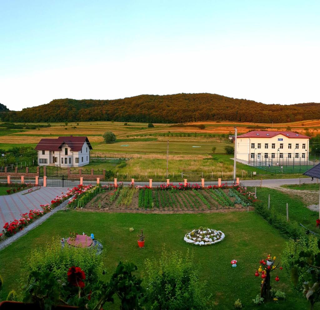 Cabana LaGică photo 4