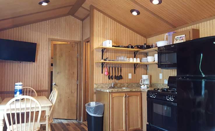 Tall Pines Resort Cabin image