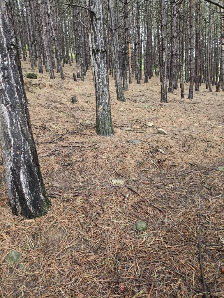 AMOJ B&B and Guest house photo 4