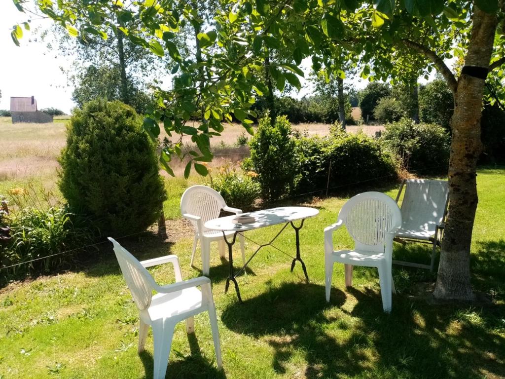 Entre forêts et prairies photo 3