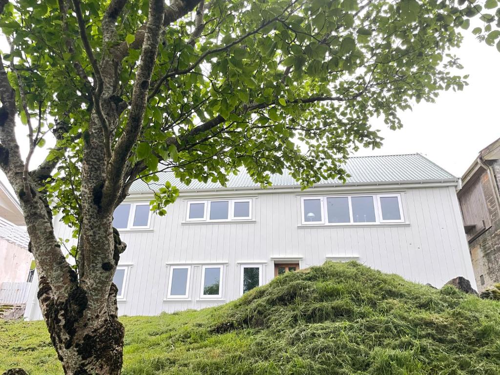 Abbasa hús-Grandpa s house Kumlavegur 9 photo 2