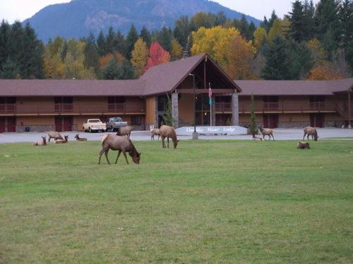 Cowlitz River Lodge photo 4