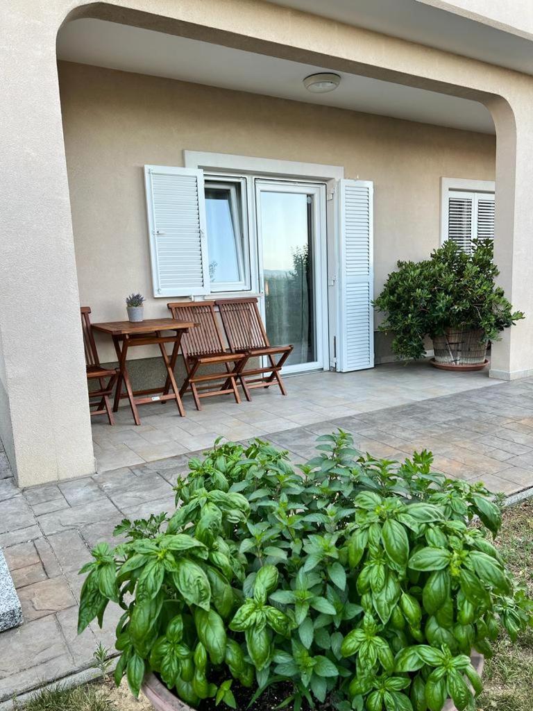 SeaView Apartments photo 1