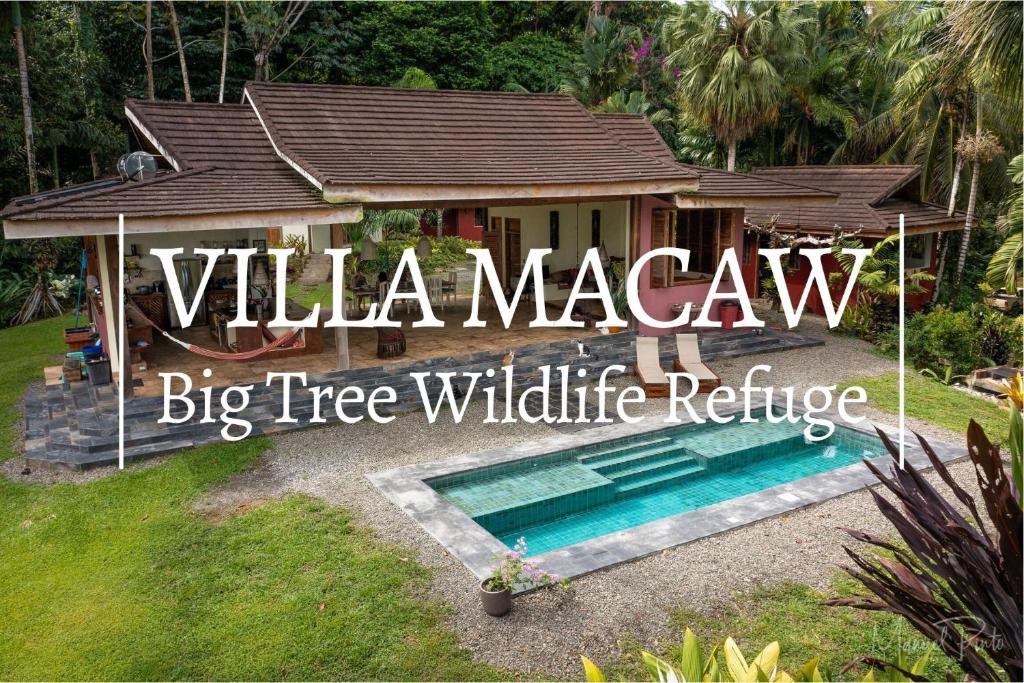 Luxury Villa Macaw Pool House with FiberOp and Oceanviews photo 1