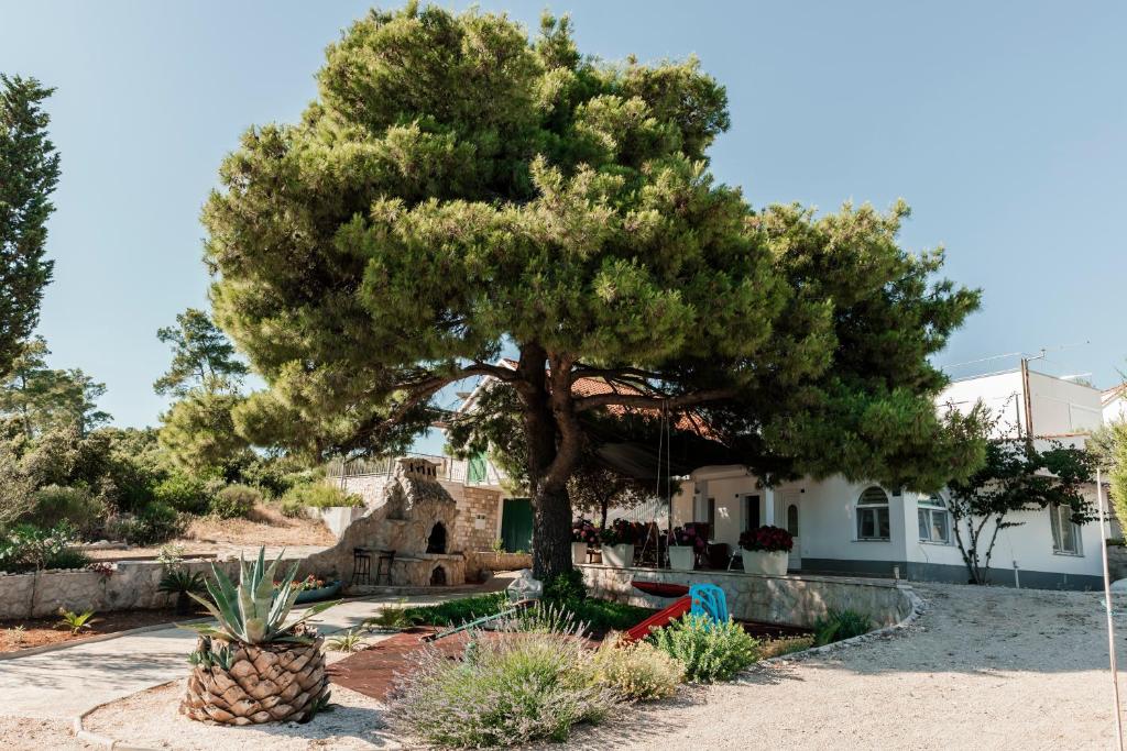 Villa Danka photo 4