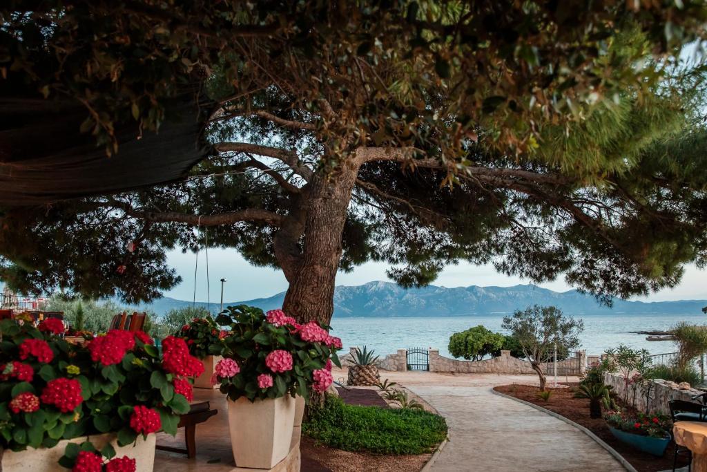 Villa Danka photo 1