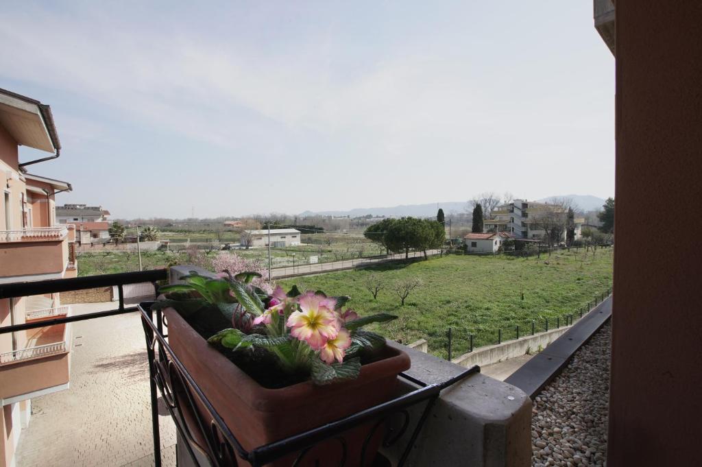 B&B Calima - - completo relax photo 3