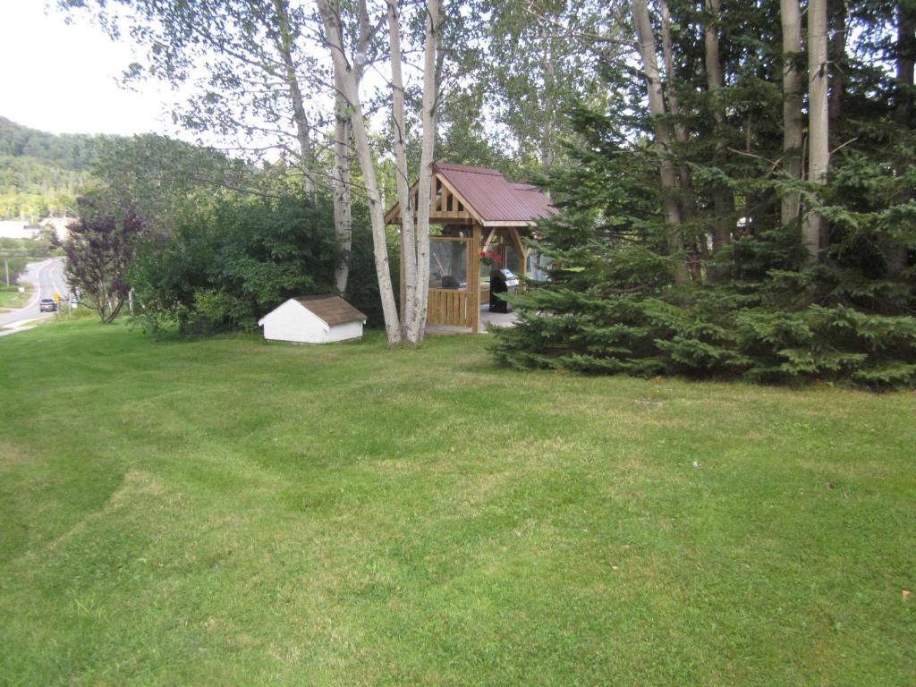Skyline Cabins photo 3