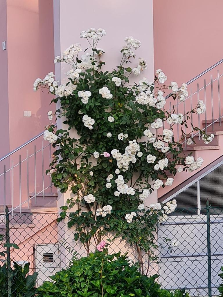 A casa di Albino e Giovannina photo 2