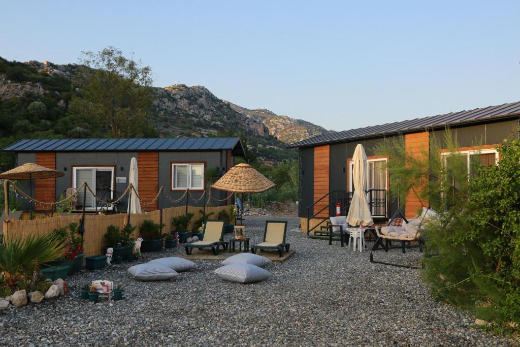 Tiny House Cactus söğüt photo 2