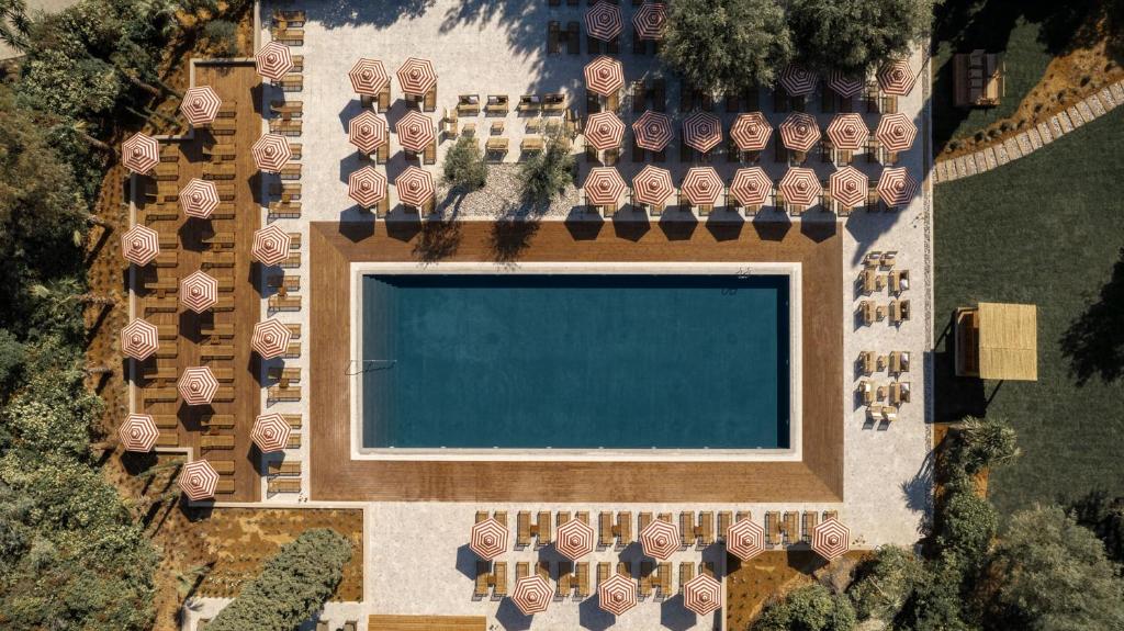 Cook's Club Corfu - Adults Only photo 2