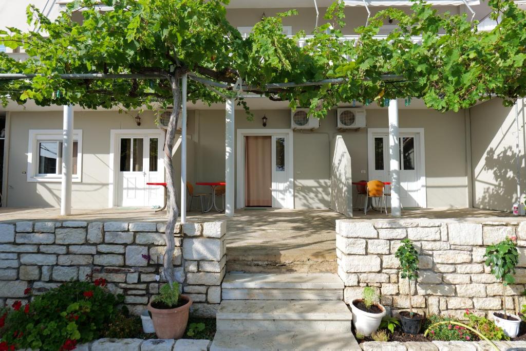 Villa Gjika photo 3