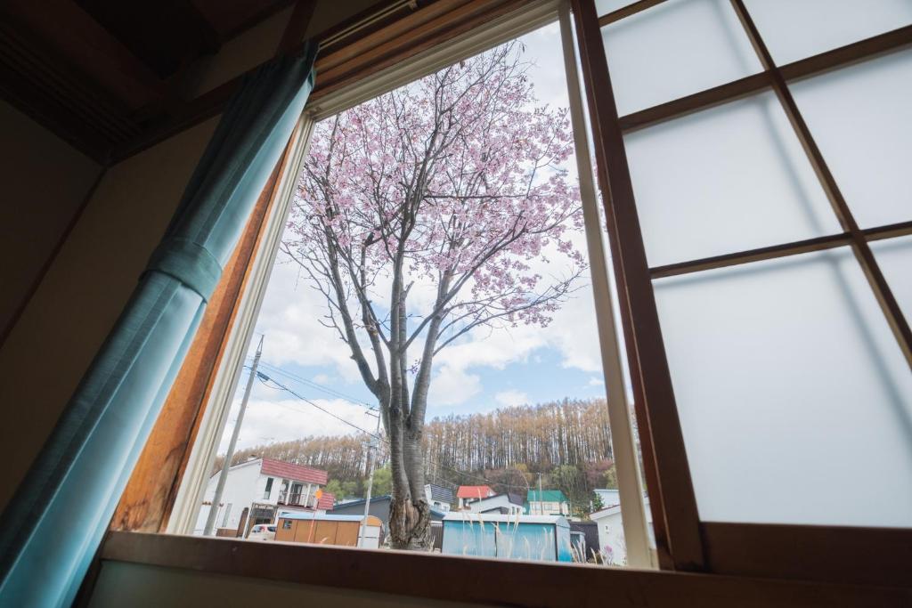 旭川美瑛 Sakura 西神楽 photo 3
