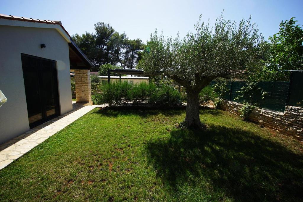 Casa Pinea Fažana photo 3