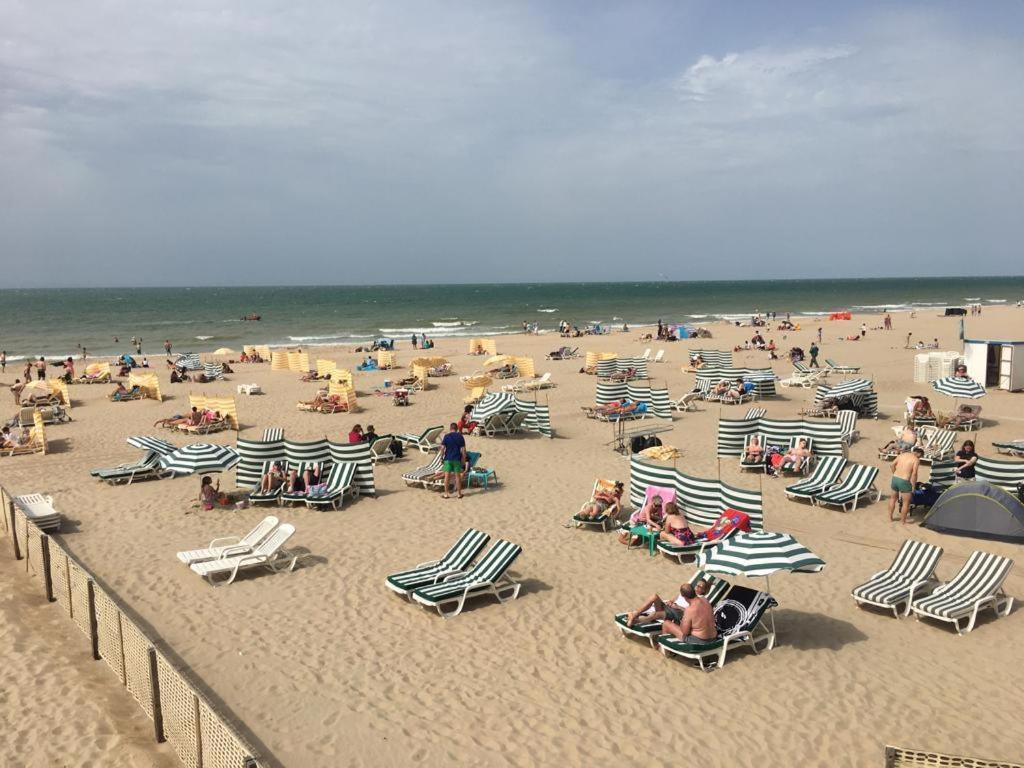 Appartement vue sur mer - Splendide localisation! photo 1