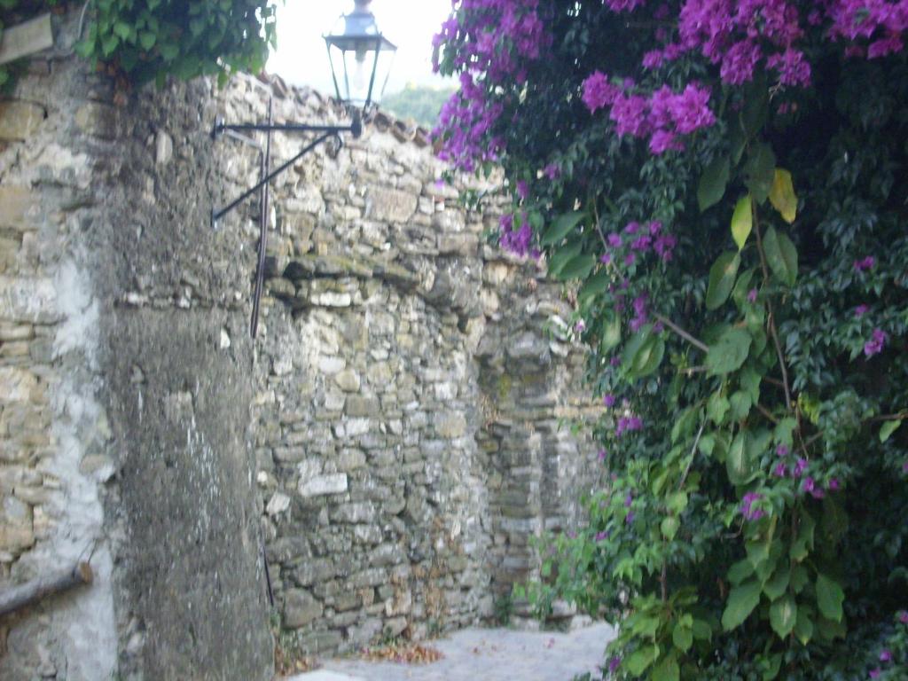 Ca' Ciassa photo 4