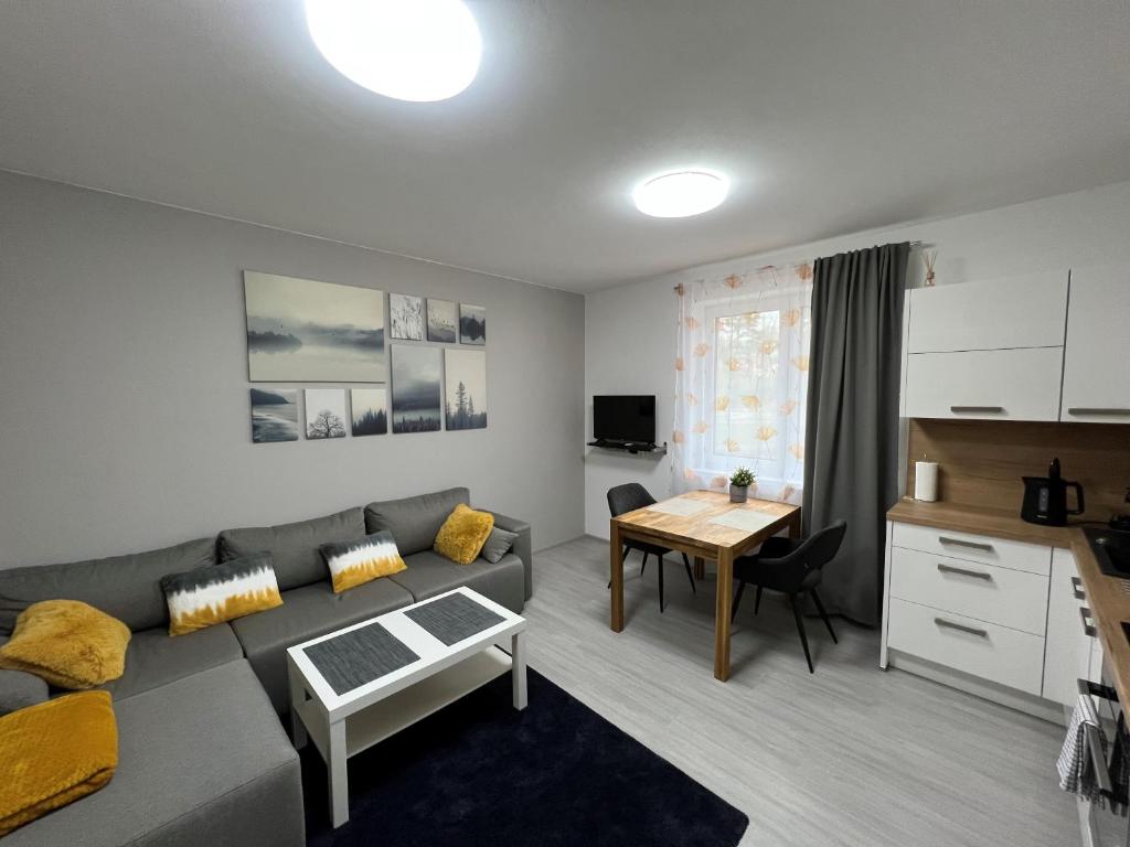 Apartment RIVIERA Lipno 511 photo 4