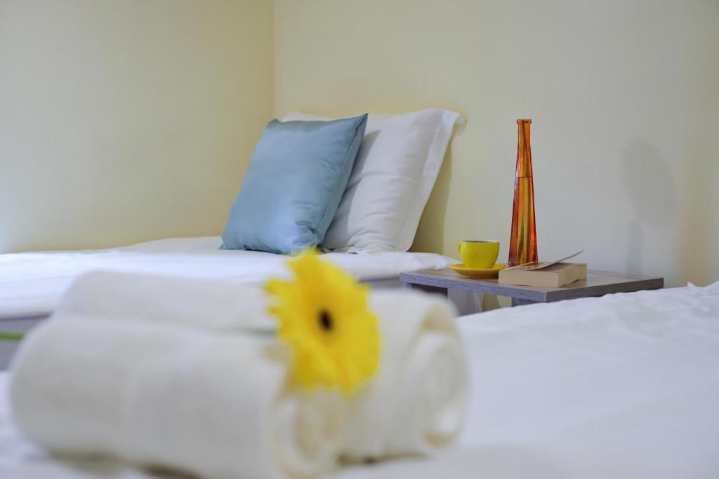 Old Friends Guesthouse photo 1