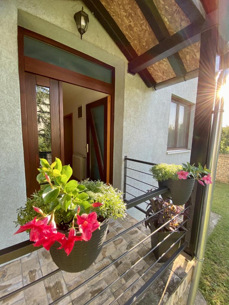Domus photo 2