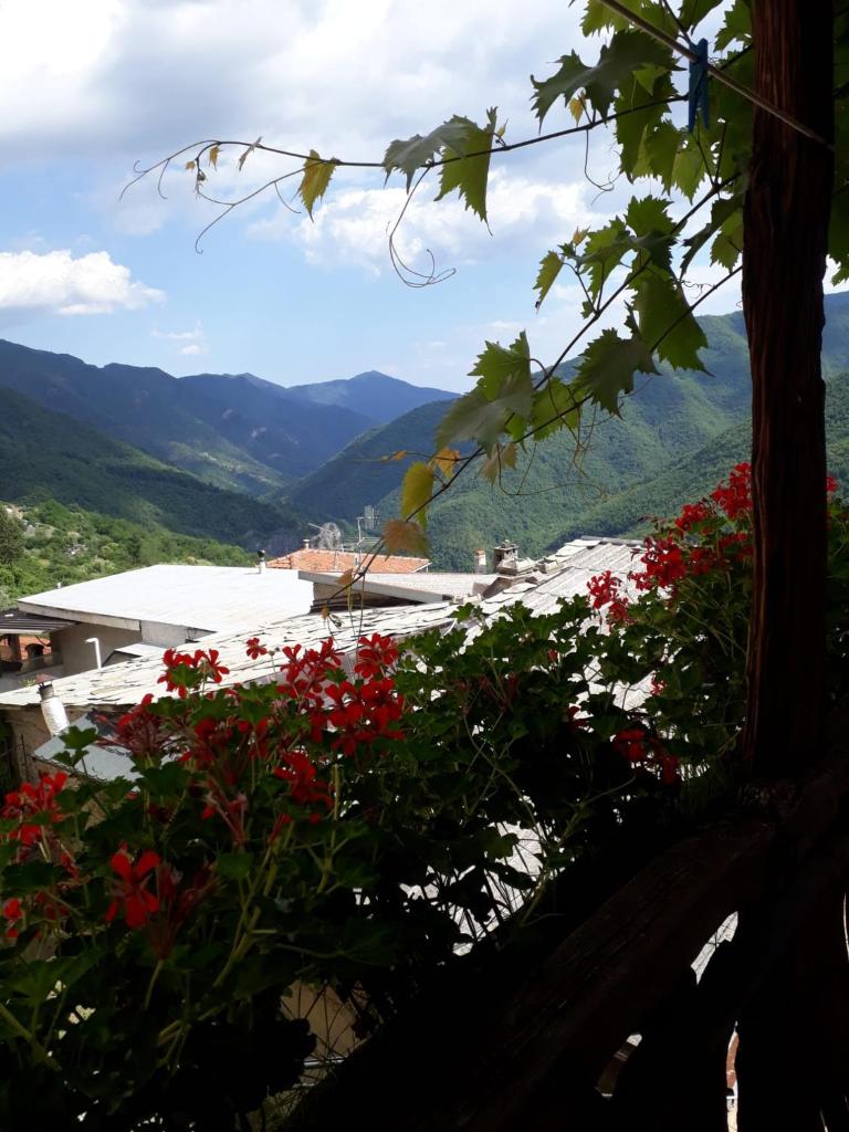 Casa Vacanze La Mezzaluna photo 1