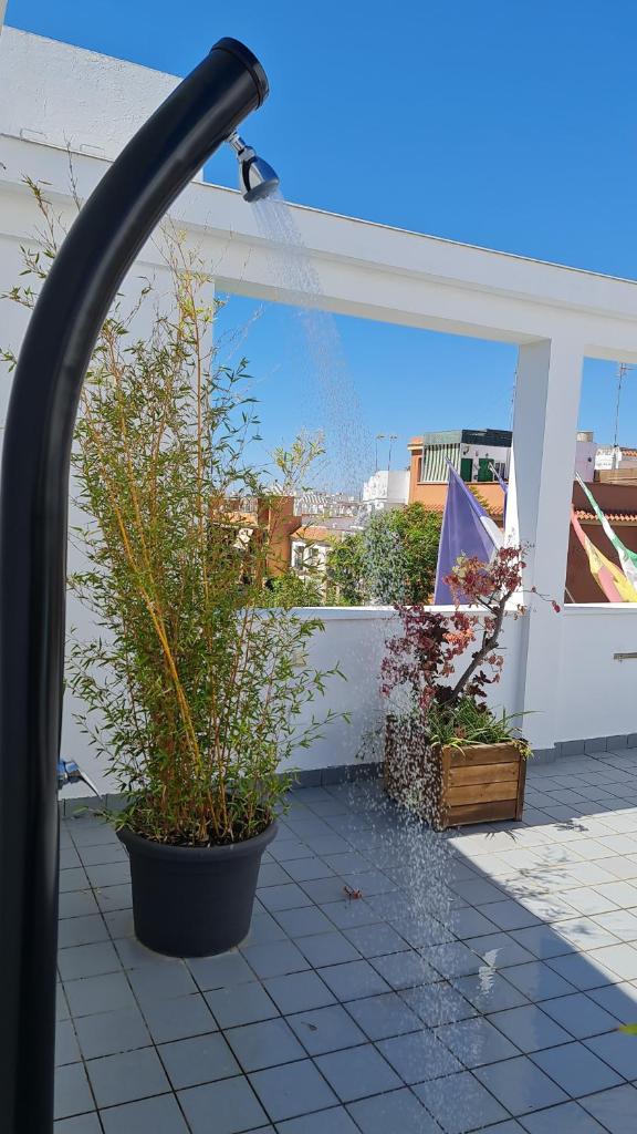 Hotel Los Nardos photo 2