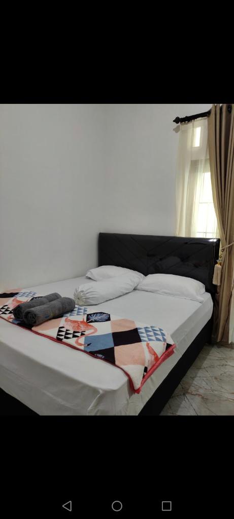 ZG Home Solo photo 3