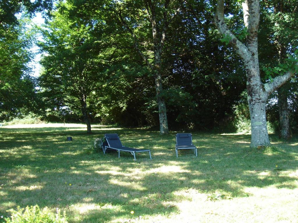 La Petite Bellarderie photo 2