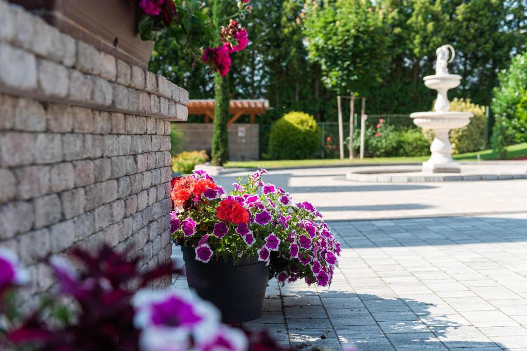 Katzer Villa photo 4