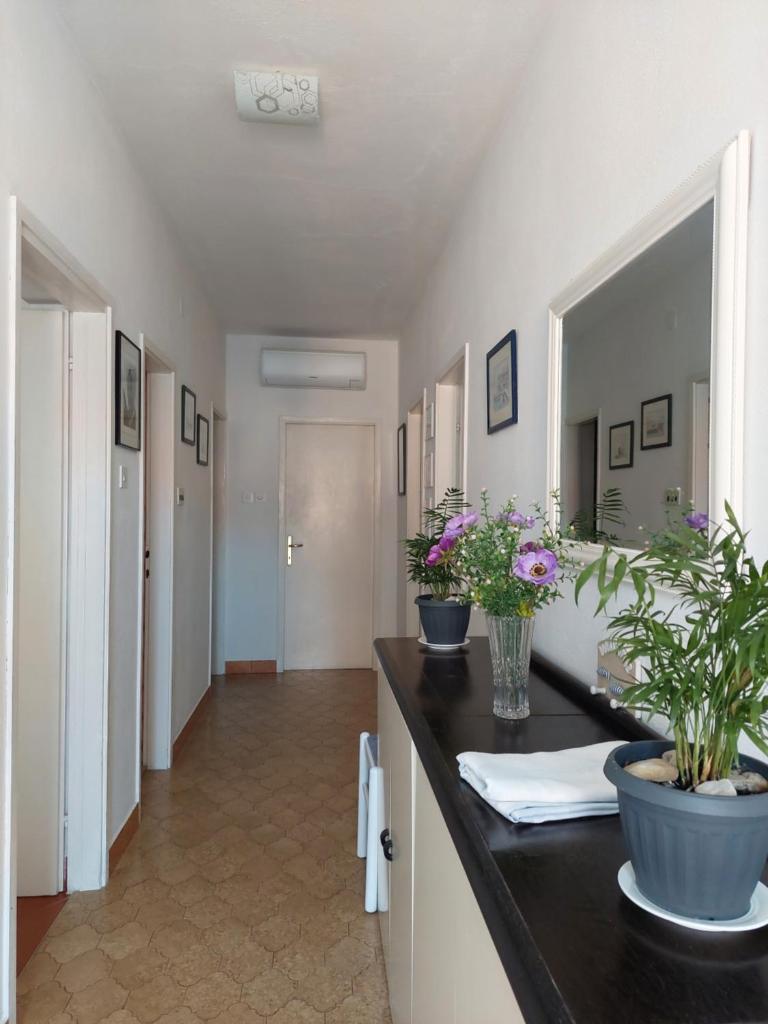 APARTMENT ELI photo 4