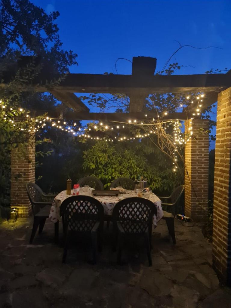 Casa Rural en Candeleda con piscina y un maravilloso jardín photo 4