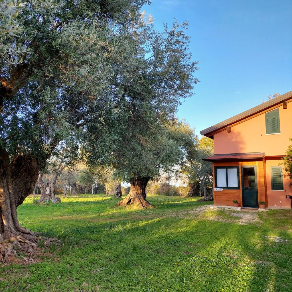 La Piana degli Ulivi photo 2