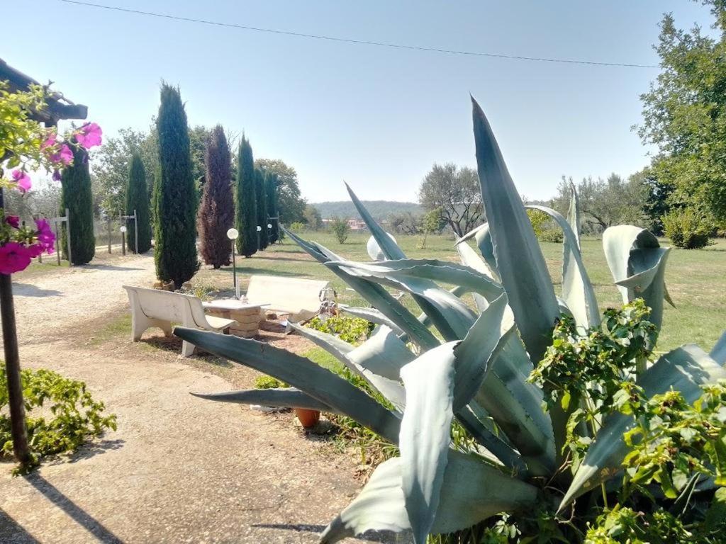Casale Campecora photo 3