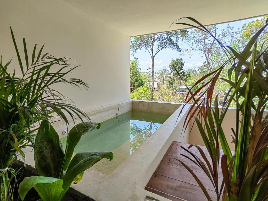 Increíble Departamento en la Jungla Private Pool By Yeah