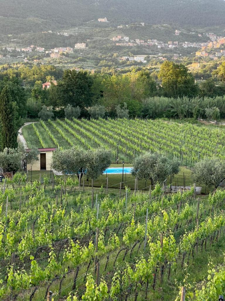 Casale Verdeluna Wine Resort photo 1