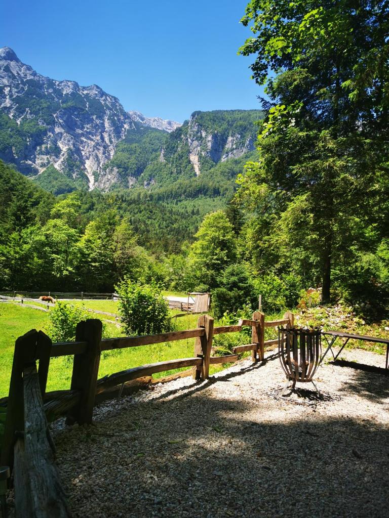Skalca photo 2