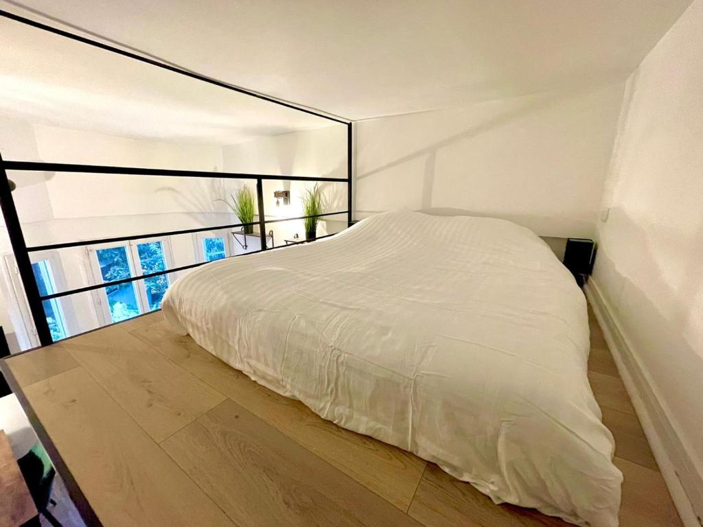Cocooning & Modern Duplex City Center Carabacel photo 3