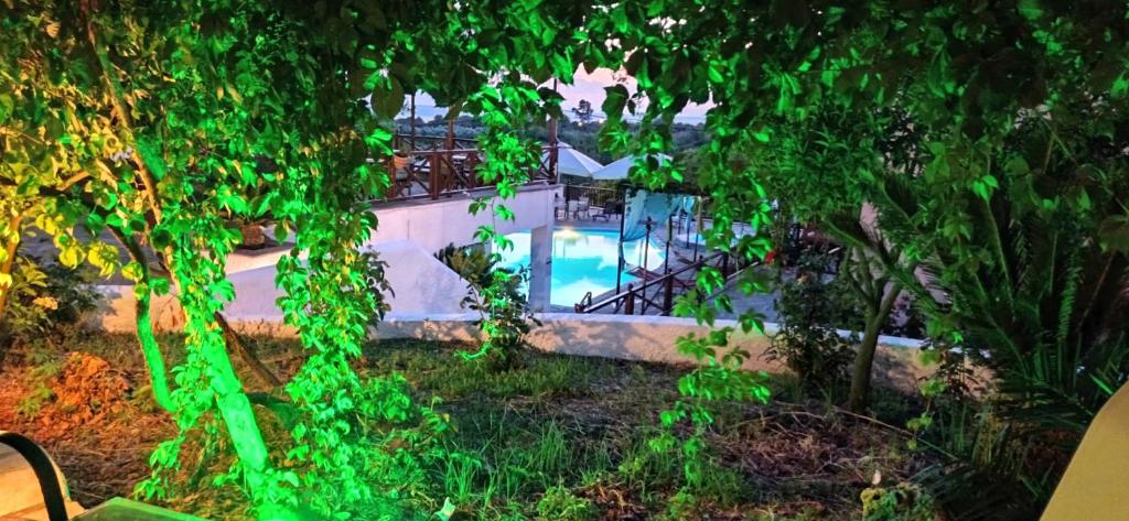 Seralis Pelion photo 3