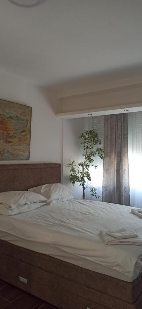 Apartmani Nikšić Bonaca u Centru photo 1