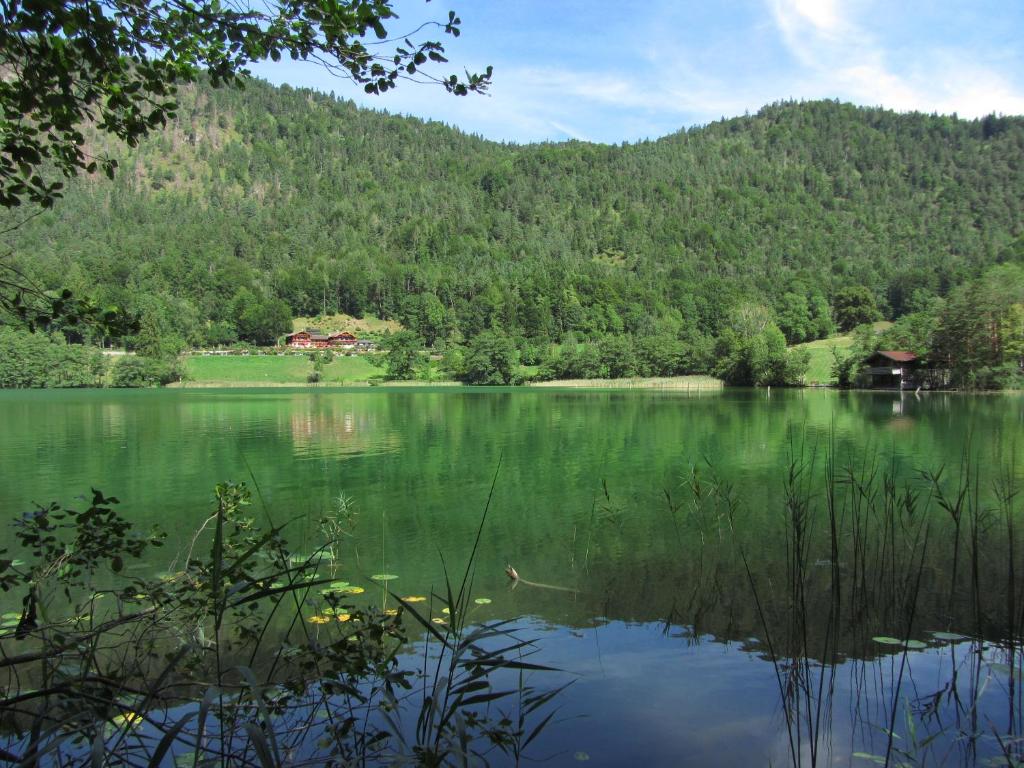 Hotel Pension Hubertus photo 1