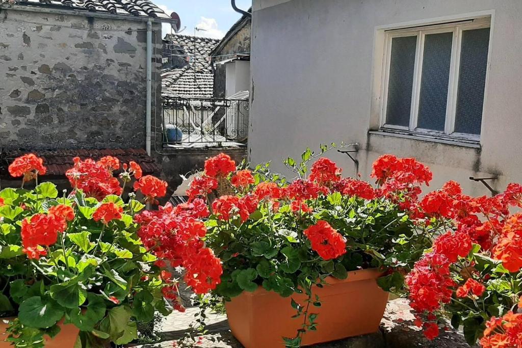 Beautiful 2-Bed House in Longoio Bagni Di Lucca photo 3