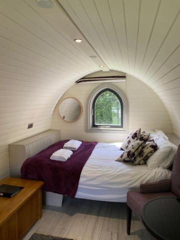 The Pod photo 2