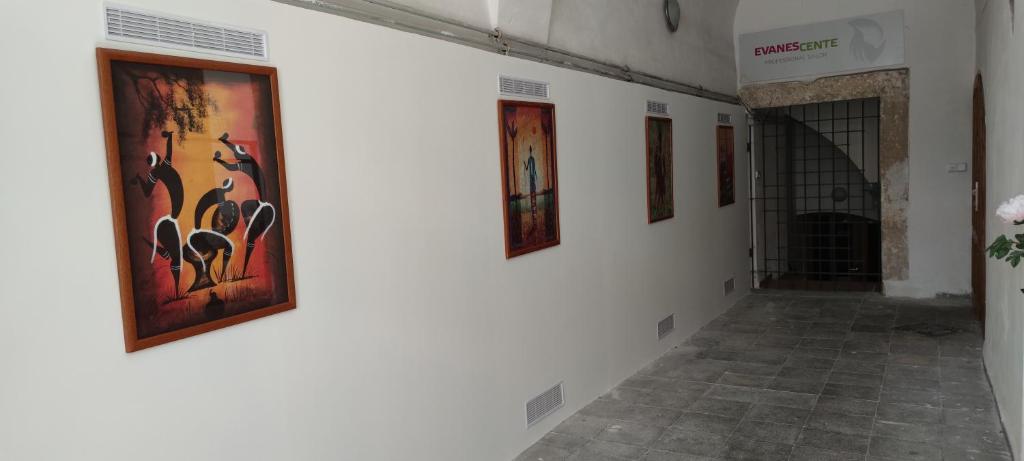 JUDIA photo 1