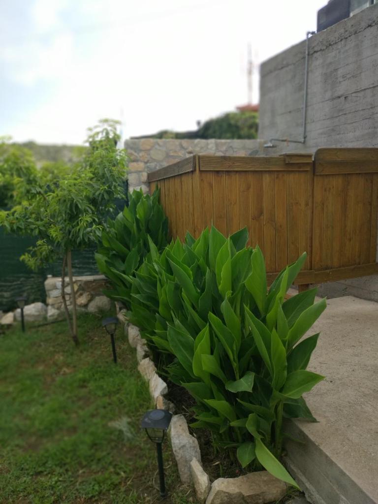 Palm Villa photo 2