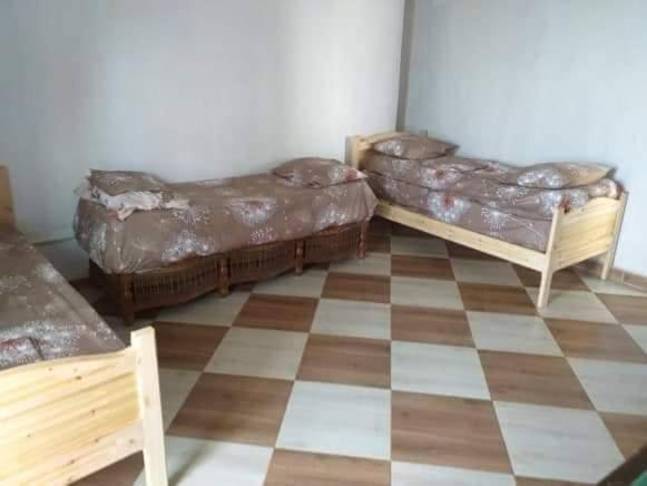 Suite home beldj photo 3