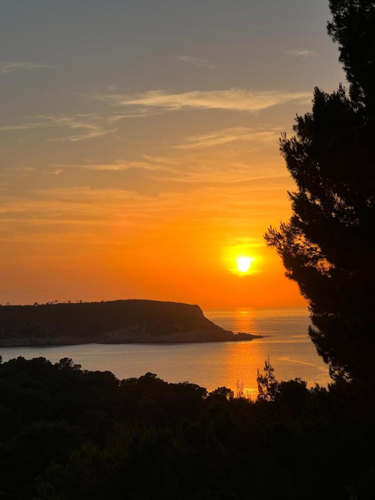 Villa Cala Xuclar photo 2