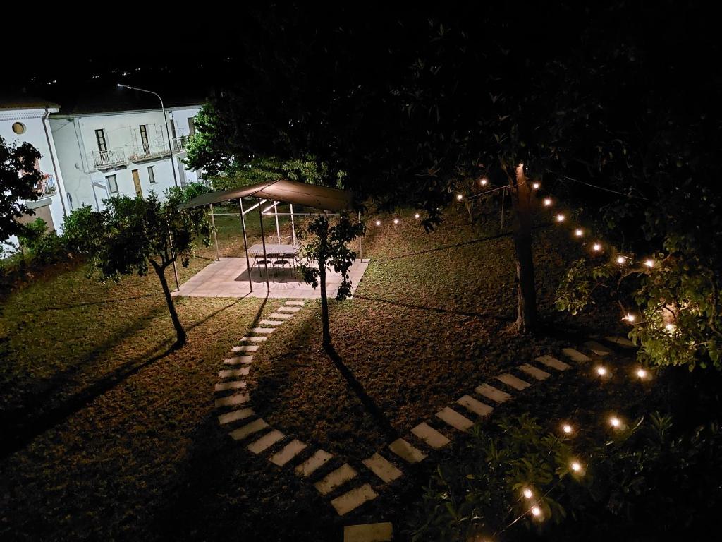 L' antico nespolo photo 4