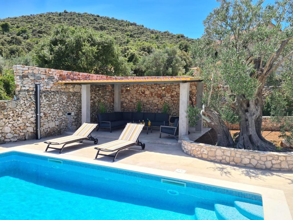 Olive Tree - House with Pool photo 1