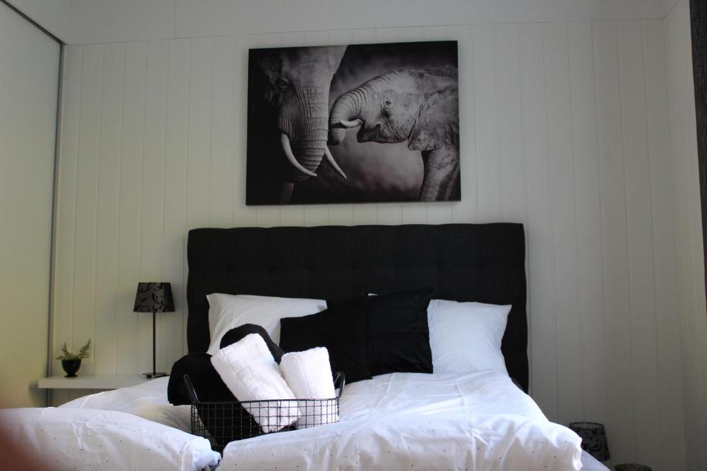 Light Sentral Apartment Ålesund photo 3