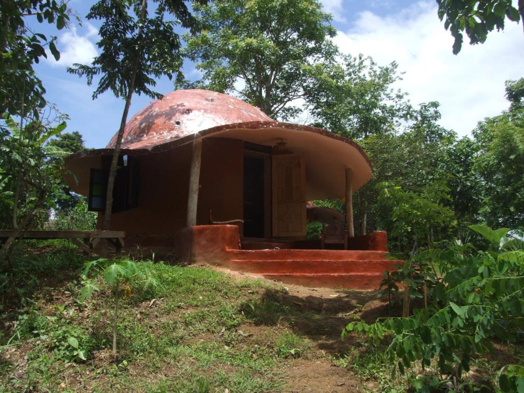 Chiang Dao Roundhouses photo 3
